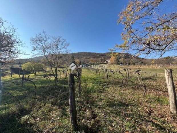 Cs�kv�ri 25 nm-es h�z elad�