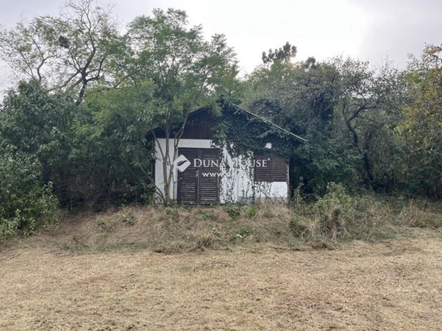 Cs�kv�ri elad� 29 nm-es h�z