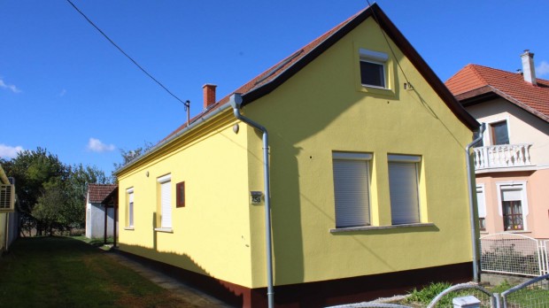 Csal�di f�szek Pacsa sz�v�ben