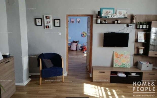 Csal�di h�z S�ndorfalv�n! - S�ndorfalva