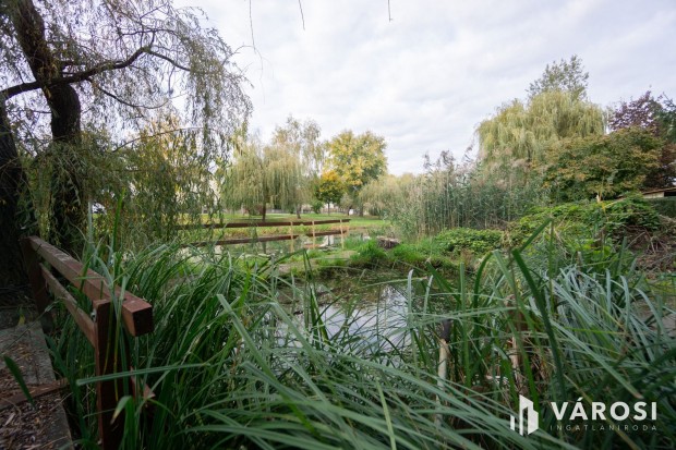 Csal�di h�z a Holt-Duna partj�n, oszthat� telekkel!