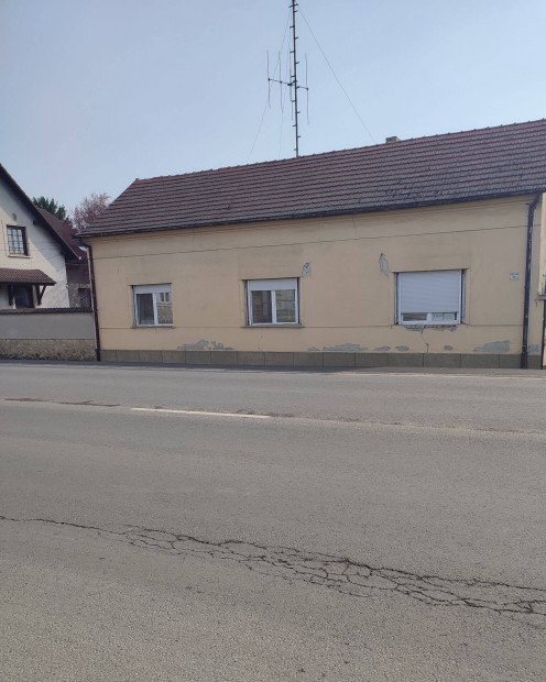 Csal�di h�z ak�r v�llalkoz�sra is