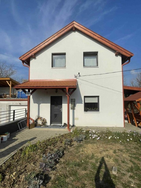 Csal�di h�z csendes k�rny�k, Cs�m�r kedvelt r�sz�n