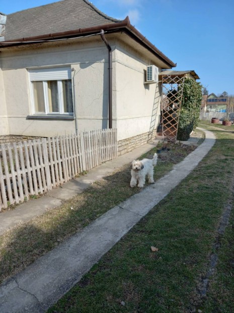 Családi ház eladó Balatonfőkajáron
