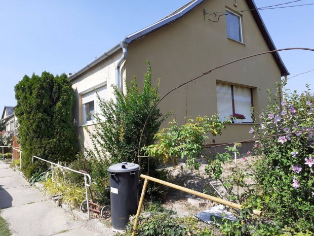 Csal�di h�z elad� Szigetcs�pen