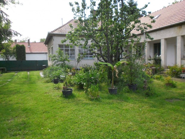 Csal�di h�z nagy kerttel elad�