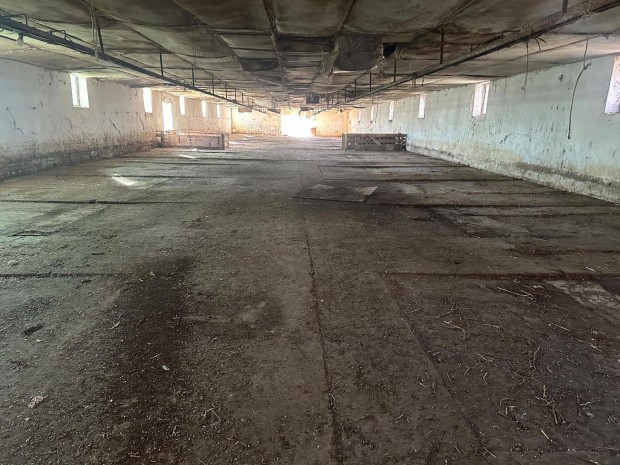 Csarnokok t�rol�sra, rakt�roz�sra, �llattart�sra kiad�k