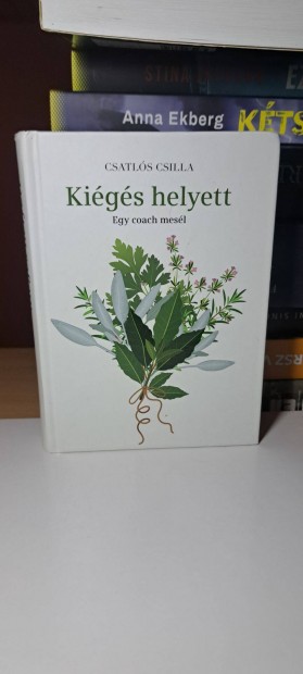 Csatls Csilla: Kigs helyett