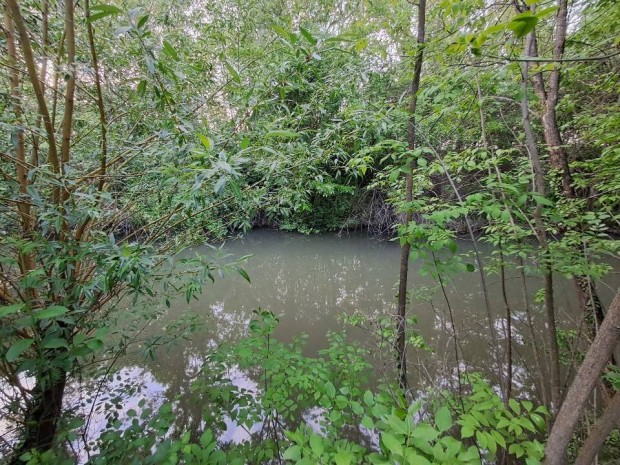 Csatornaparti telek elad� Gyomaendr�d�n