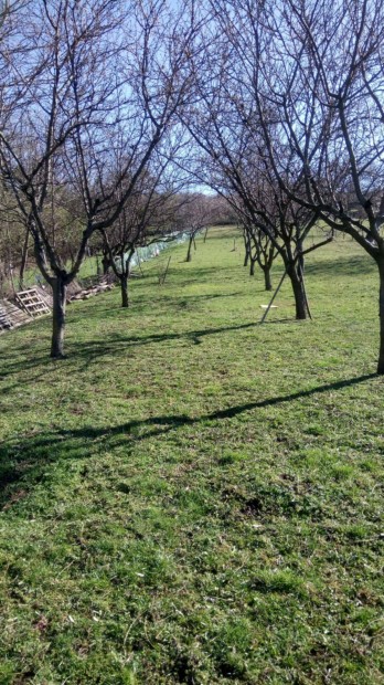 Cskti Szlhegyen telek elad