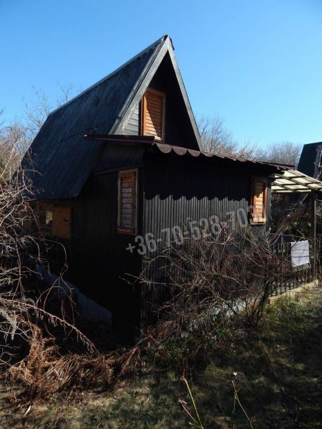 Csend, nyugalom, mad�rcsicserg�s, chill! Tatab�nya S�kv�lgy�n. Belter�