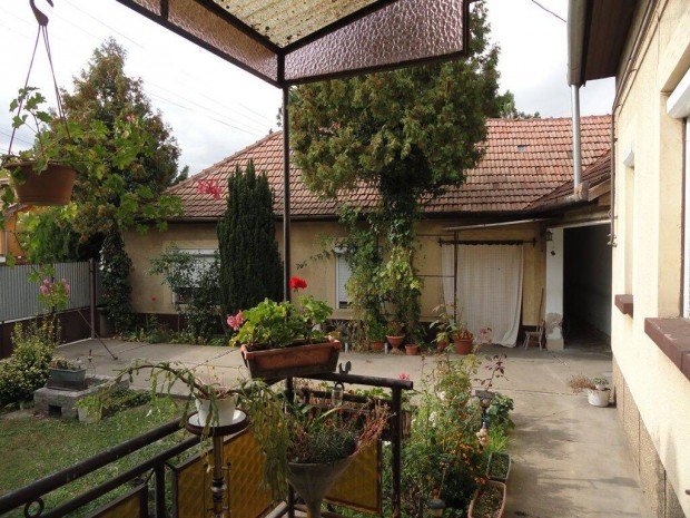 Cseng�d�n a k�zpont k�zel�ben kiad� �p�let gar�zzsal