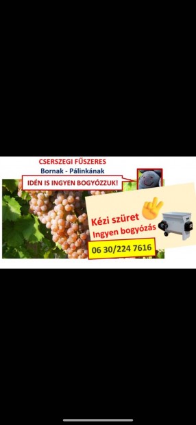 Cserszegi fszeres szl bornak plinknak ingyen bogyzva