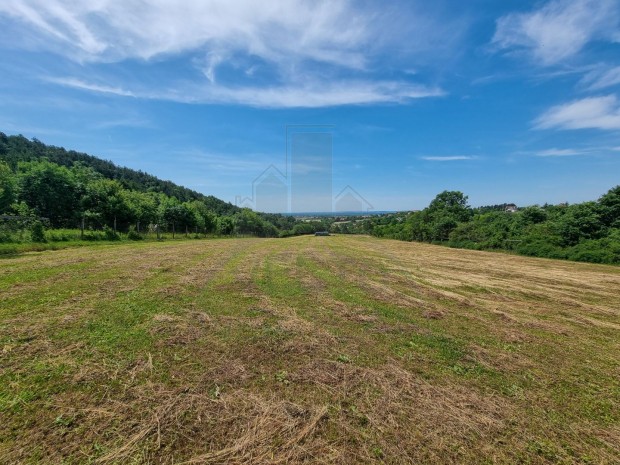 Cserszegtomaj 13.000m2 telek /�p�t�si telek!