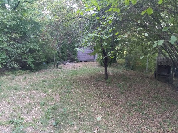 Cseszneken erd� k�zep�n z�rt kerti ingatlan elad�!