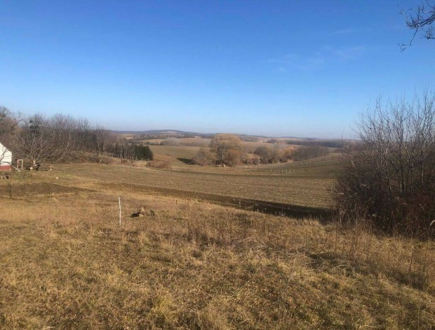 Cset�ny lak��vezeti telek elad�