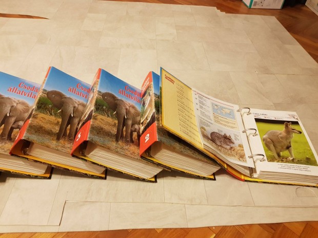Csodálatos állatvilág 6 album