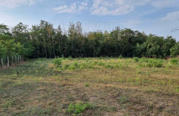 Csod�latos panor�m�val rendelkez� �p�t�si telek elad� Balatonsz�rsz�n