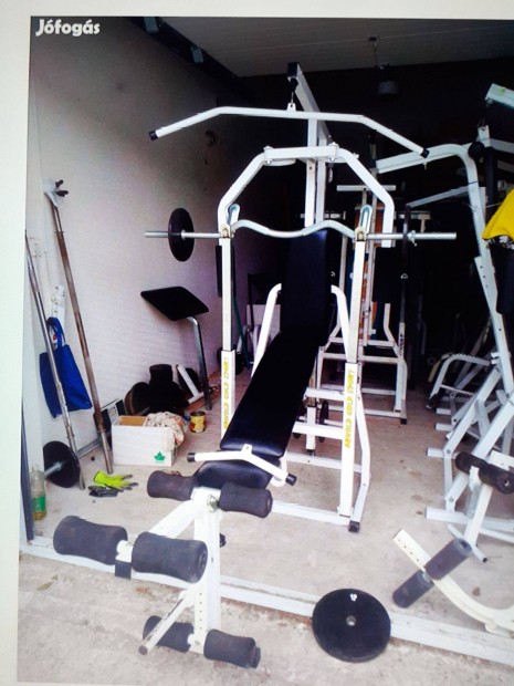 Csodaszp Arnold Gold Gym kondigp