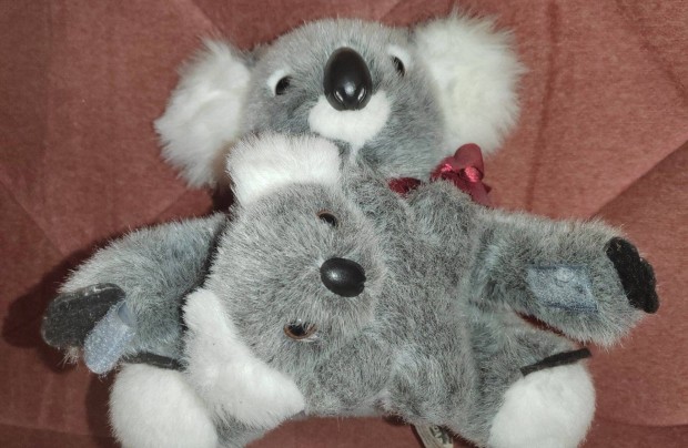 Csodaszép koala kicsinyével