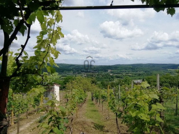 Csodaszp panormval  birtok elad Zalaegerszeg-reghegyen