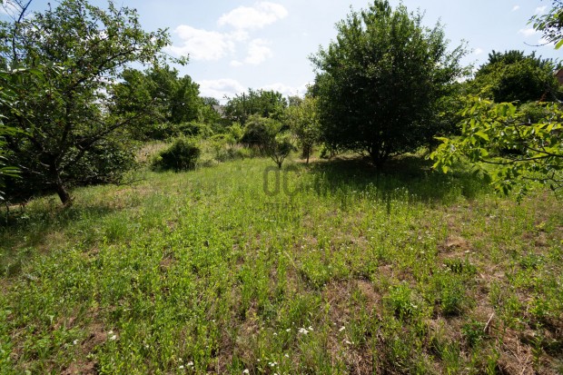 Csókakői várra panorámás telek eladó
