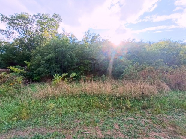 Csom�di elad� mez�gazdas�gi ingatlan