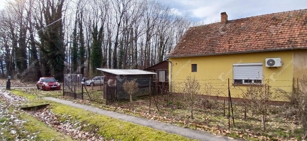 Cs�nget Major  ahol a csend nem hi�ny, hanem aj�nd�k.