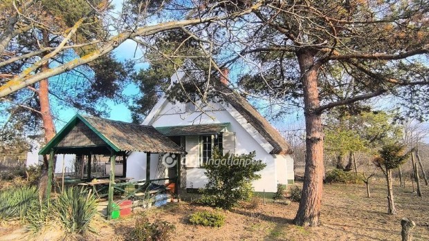 Csongr�di 30 nm-es h�z elad�