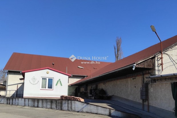 Csongrádi eladó 950 nm-es üzem