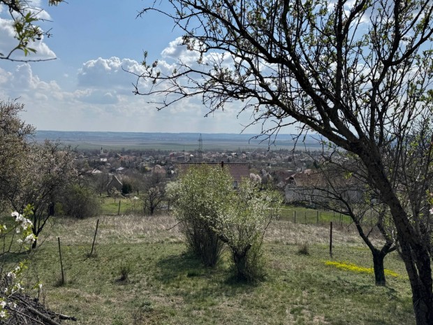 Cs�ron �r�kpanor�m�s ingatlan elad�