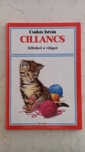 Csuks Istvn: Cillancs felfedezi a vilgot