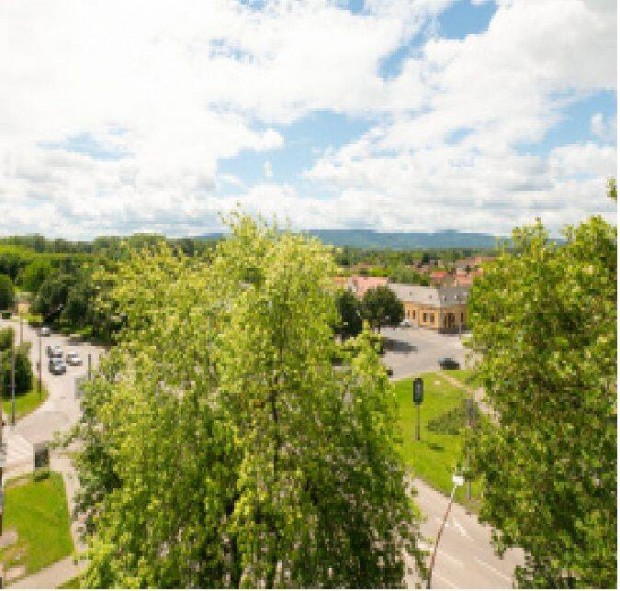 Cs�sztatott zsalus k�t szob�s t�rsash�zi lak�s elad� V�con