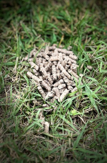 Cukorrpa pellet akci