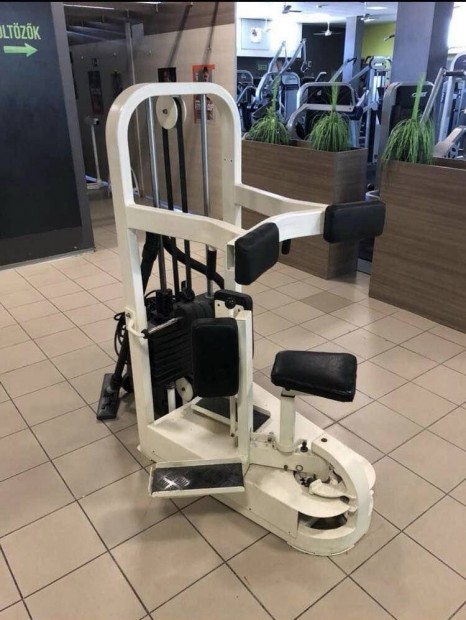 Cybex Rotary hasgp konditermi Life Fitness