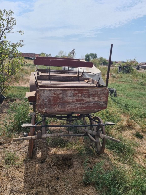 Czirki kocsi elad a Hortobgyon 