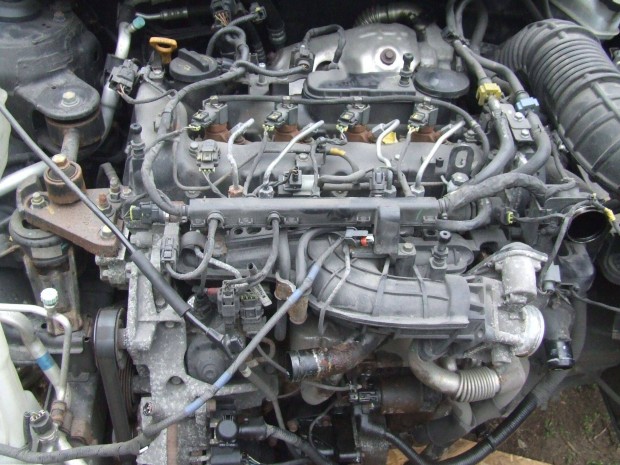D4HA Motor Hyundai Kia 2.0 crdi