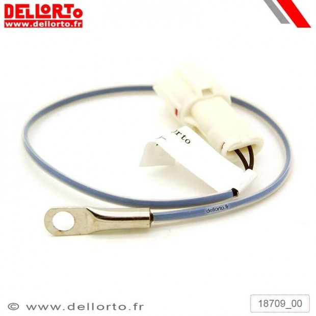 DELLORTO hmrsklet-rzkel