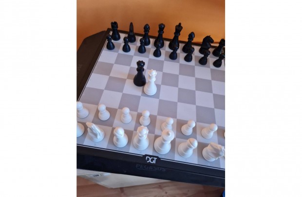 DGT Pegasus sakk-szmtgp online sakkozshoz