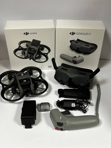 DJI Avata Pro-View Combo (DJI RC Motion, Goggles 2)