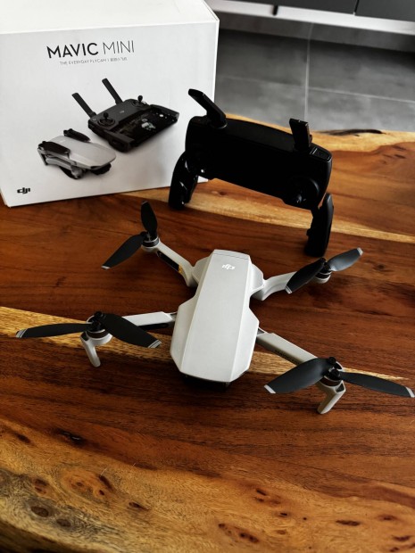 DJI mavic mini