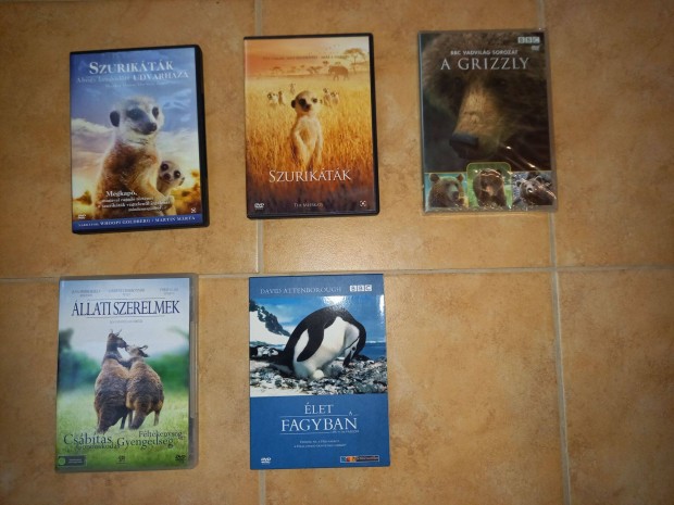 DVD film csomag llatos szurikta grizzly