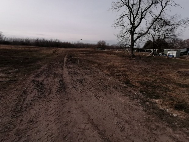 Dabas, K�zpont k�zeli, 5963 m2-es, telek