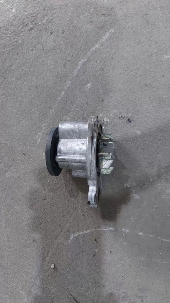 Dacia Logan Renault Captur Clio Sandero 12- V�zpumpa v�zszivatty� 7789