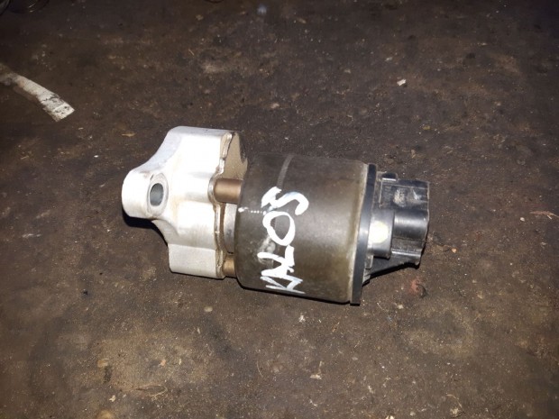 Daewoo Kalos EGR Szelep