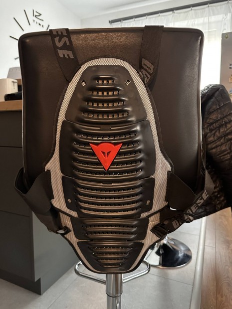 Dainese gerincvd protektor 