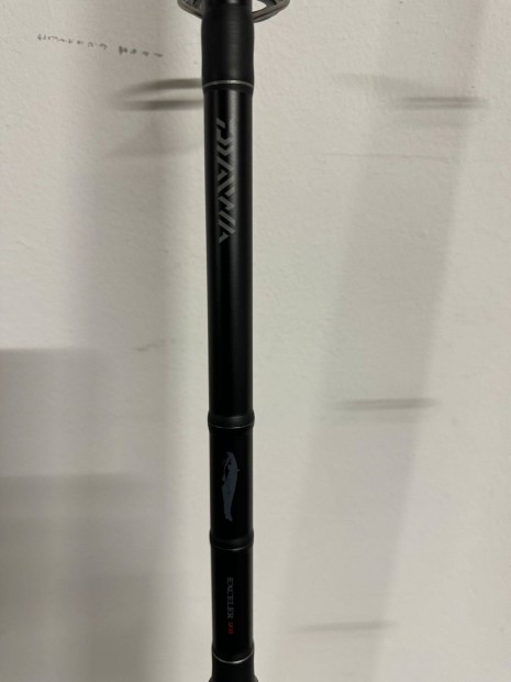 Daiwa Exceler Catfish 3fm 200-600g harcsz horgszbot