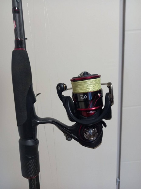 Daiwa ballistic 2000