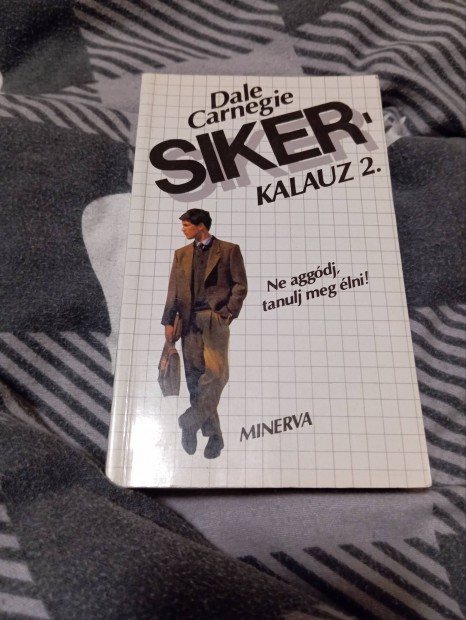 Dale Carnegie: Sikerkalauz 2. (Sikerkalauz 2.)