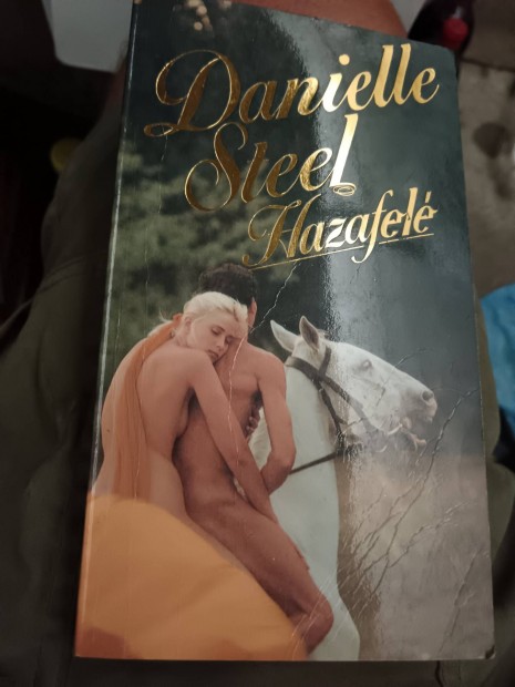 Danielle Steel - Hazafel 